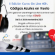 La Universidad de Salamanca y Adventia inician el 2 de noviembre una nueva edición del curso ‘Códigos azules en vuelo’